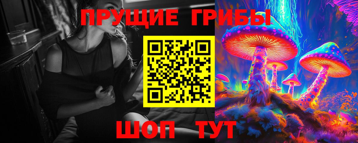 Псилоцибиновые грибы прущие грибы  Псилоцибиновые грибы прущие грибы  Тосно  Вход с VPN 